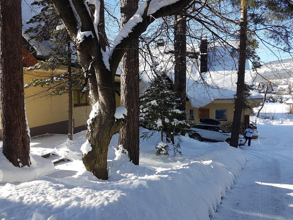 Willa Sunshine Zakopane Chalet מראה חיצוני תמונה